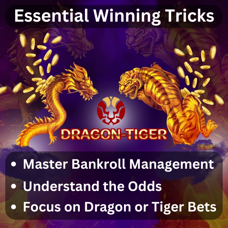 dragon tiger game